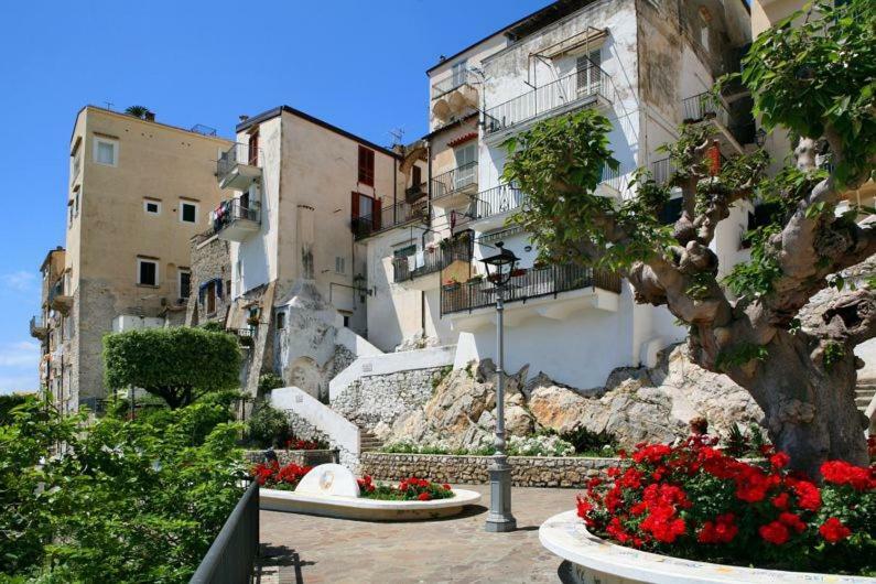 Casa Susy Bouganville 400 Mt Dal Mare 스펠론가 외부 사진