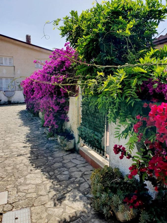 Casa Susy Bouganville 400 Mt Dal Mare 스펠론가 외부 사진